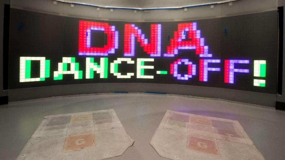 This is one component of a DNA exhibit at Science City.