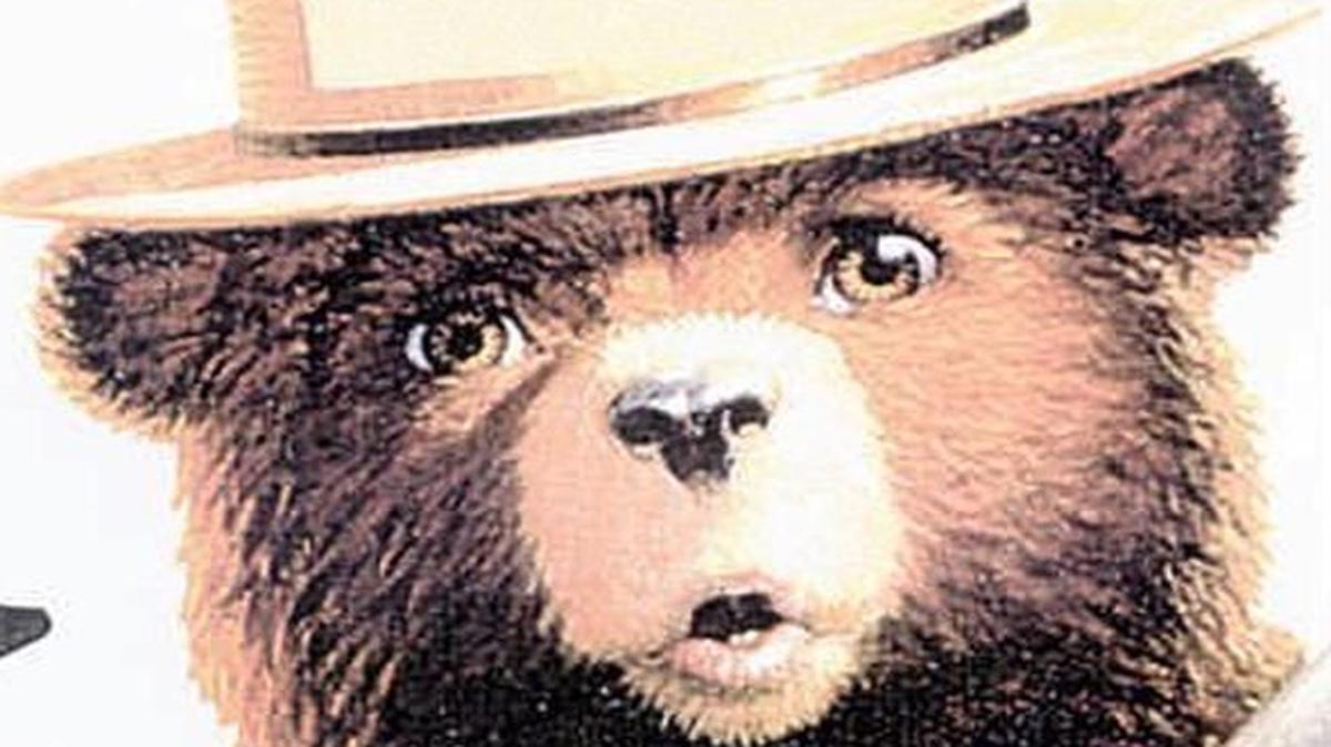 It’s not polite to point...but maybe the rules don’t apply to bears.