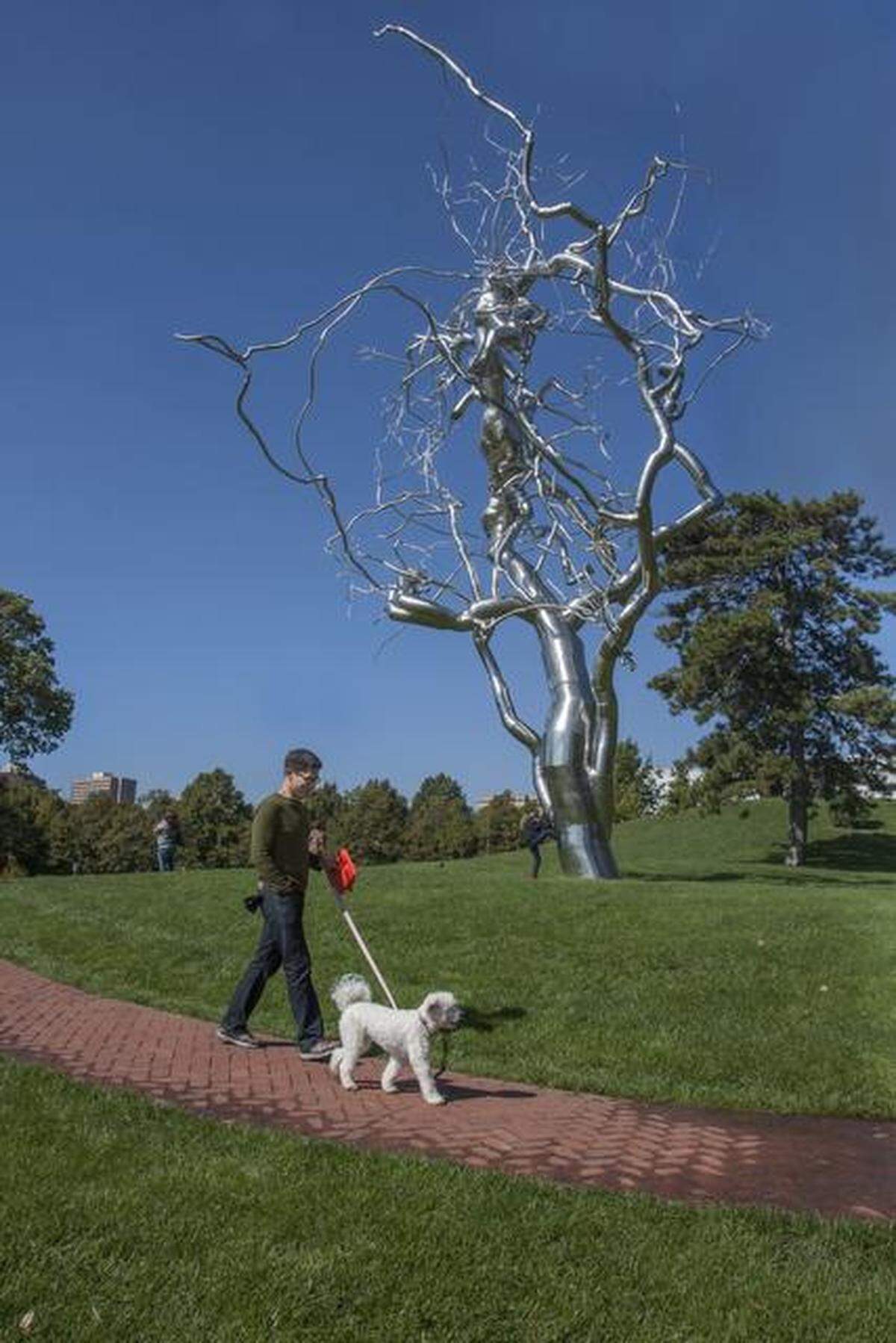 The stainless steel sculpture “Ferment,” by artist Roxy Paine, towers over the Donald J. Hall Sculpture Park at the Nelson-Atkins Museum of Art.