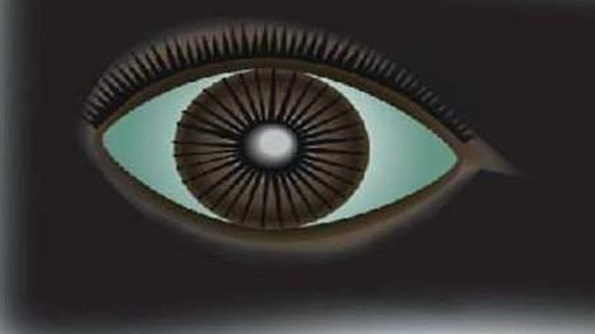 There’s something in my eye...