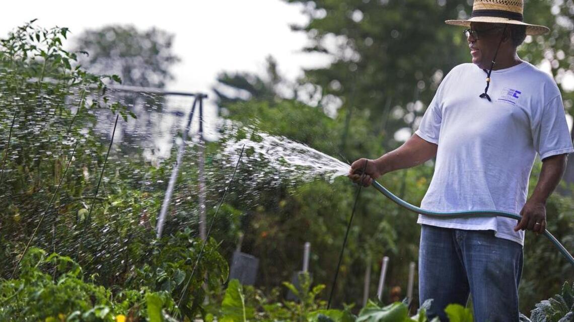 Ready to flex your green thumb? Here’s how to join a community garden in Kansas City