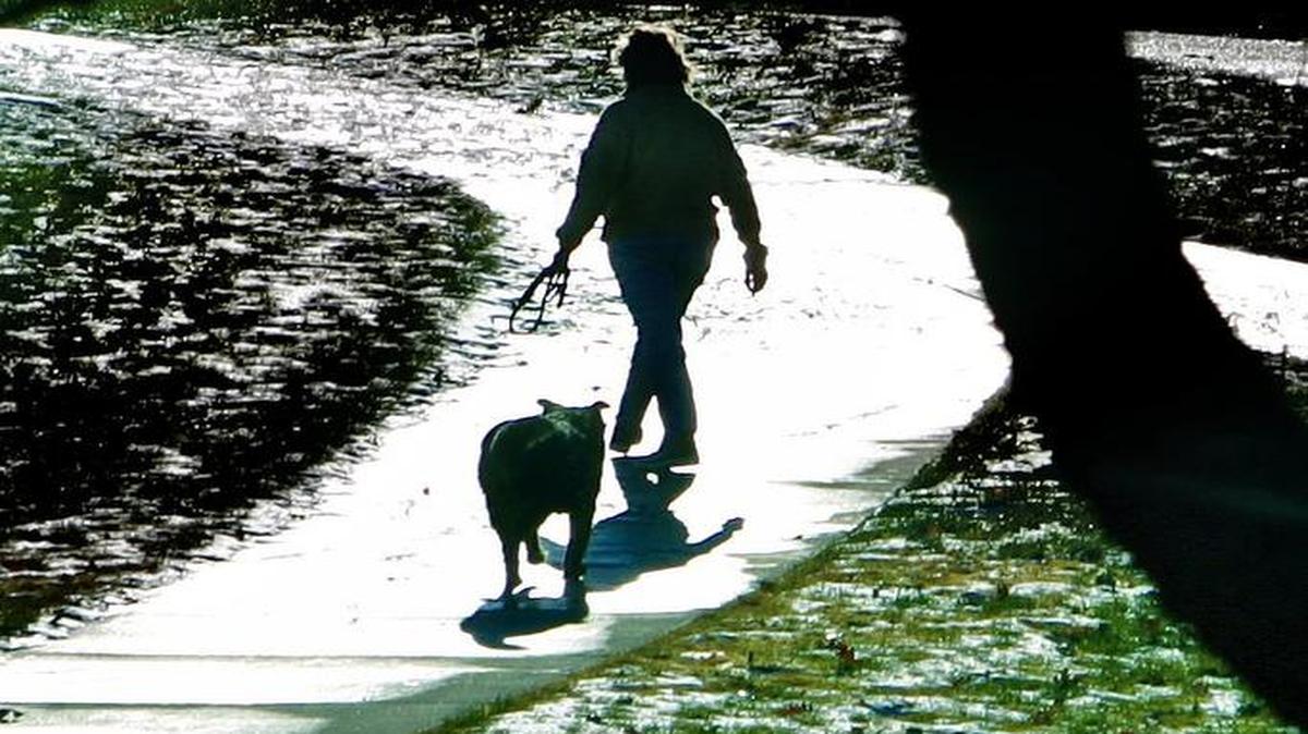 One walker on the sidewalk is scarcely a problem. But wait until the pathway is crowded!