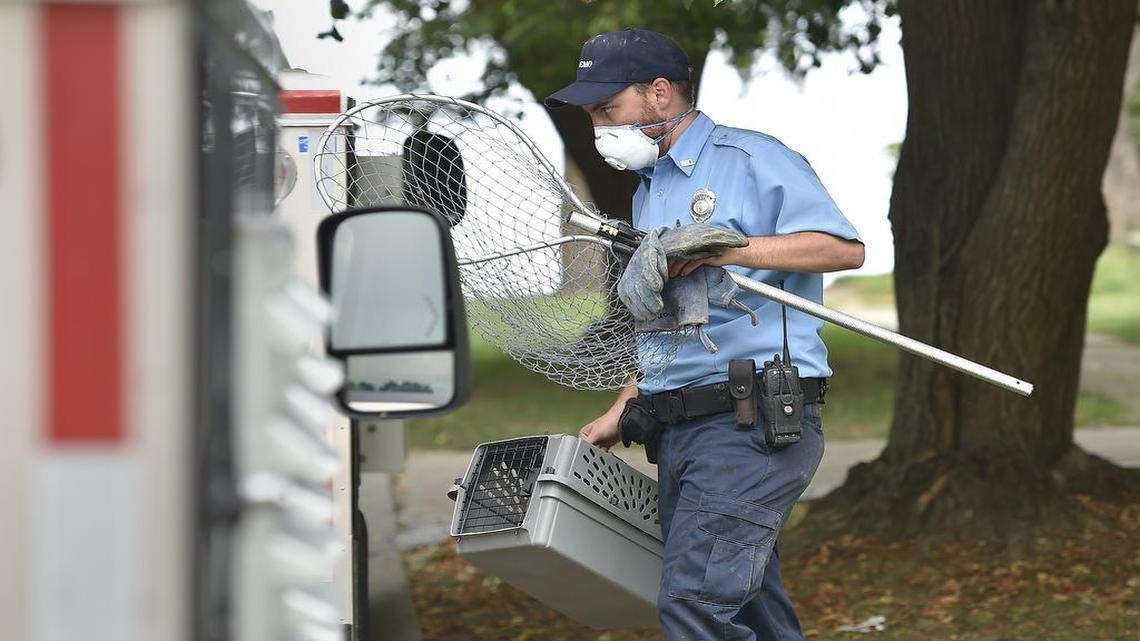 
Chris Harriman brought a captured cat to the truck.
