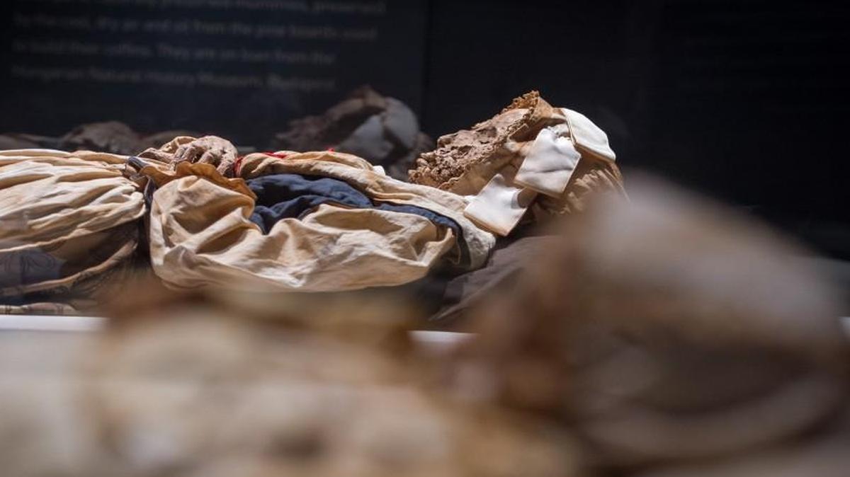 Tuberculosis claimed Veronica Orlovits in 18th-century Hungary. Now her mummified remains, along with those of her husband and infant son, are part of the Mummies of the World exhibit coming to Union Station in June.