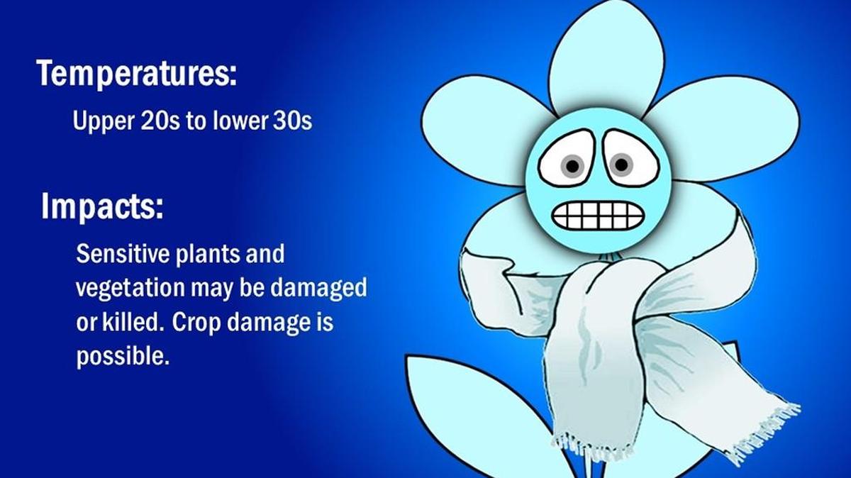 The National Weather Service has issued a freeze warning for much of the Kansas City region with temperatures expected to range from 25 degrees in northeast Missouri to 32 degrees in the Kansas City area.