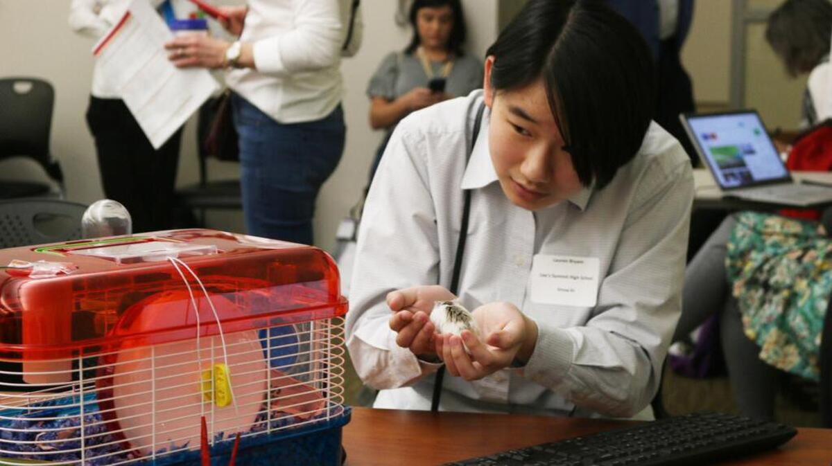 Lee’s Summit High School student Lauren Bryant puts Bits the hamster back in his cage. Lauren talked with girls from around the metro about her project using sensors to monitor Bits.