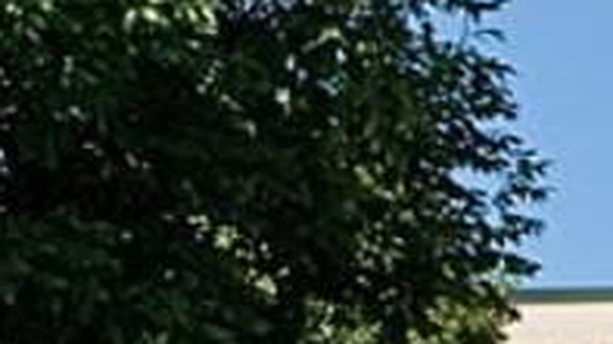 The Westwood City Council on Thursday adopted a new comprehensive land use plan.