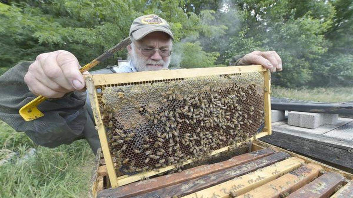 
A beehive sits in a stack of ordinary-looking boxes. Inside, the bees construct a honeycomb filled with honey. Here beekeeper John Speckman checks a comb. The bees know their stuff: “When the nectar’s coming in, they just work. The more space you give them, the harder they work,” he says.
