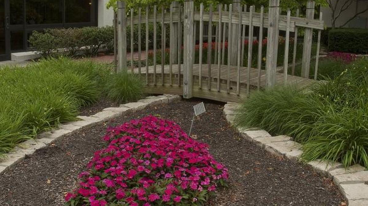 A bed of impatiens in the meditation garden, one of two healing gardens at Shawnee Mission Medical Center.