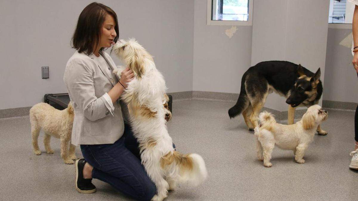 Meagan Dowell spends some time with the dogs at her dog daycare, On the Ball.