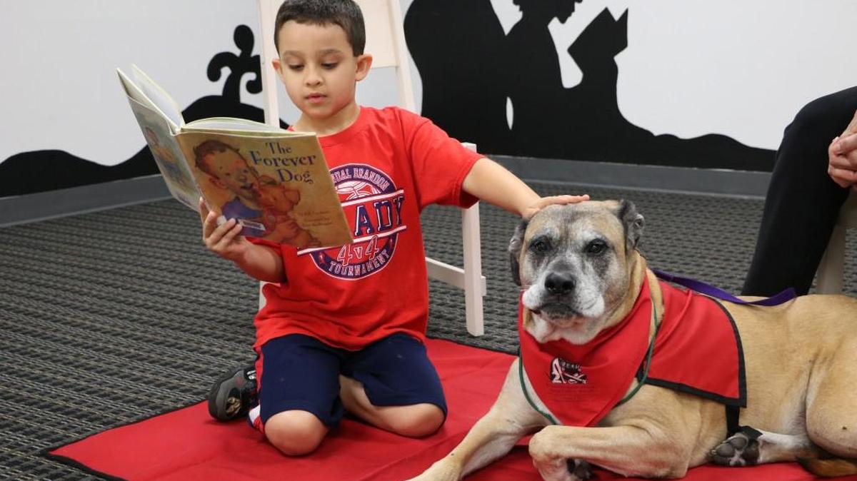 On Saturday at the Olathe Public Library R.E.A.D to a Dog program, Sebastian Mauquer, 8, reads “The Forever Dog” to 10-year-old Bullmastiff, Roxy. Roxy, and her owner Donna Amato, are a registered team from Pets for Life, a multi-faceted animal-assisted therapy organization.