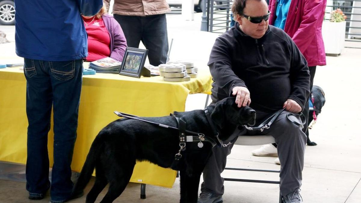 Tom Cruit of Lee’s Summit just got Jeeves, his new service dog, a month ago through Kansas Specialty Dog Service.