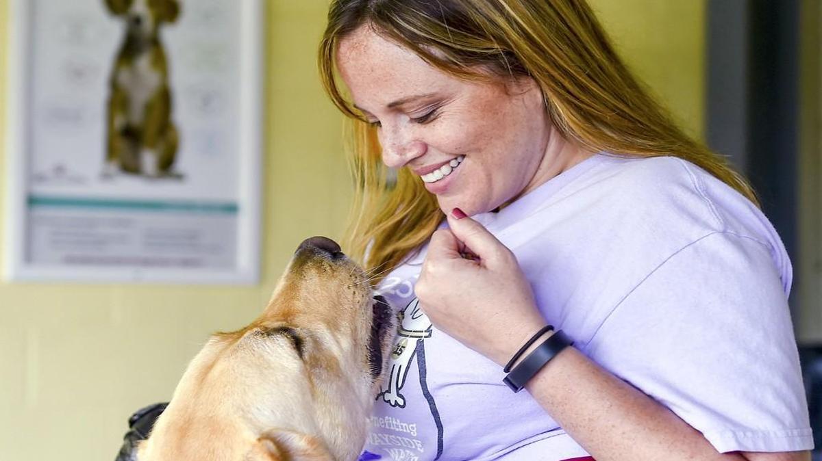 The Wayside Waifs animal shelter in south Kansas City takes in more than 40 percent of its yearly regular donations in just the fourth quarter. But the shelter’s Casey Waugh (shown giving a treat last year to Tally the dog) points out that “there is a need year-round.” Wayside Waifs is at 3901 Martha Truman Road.