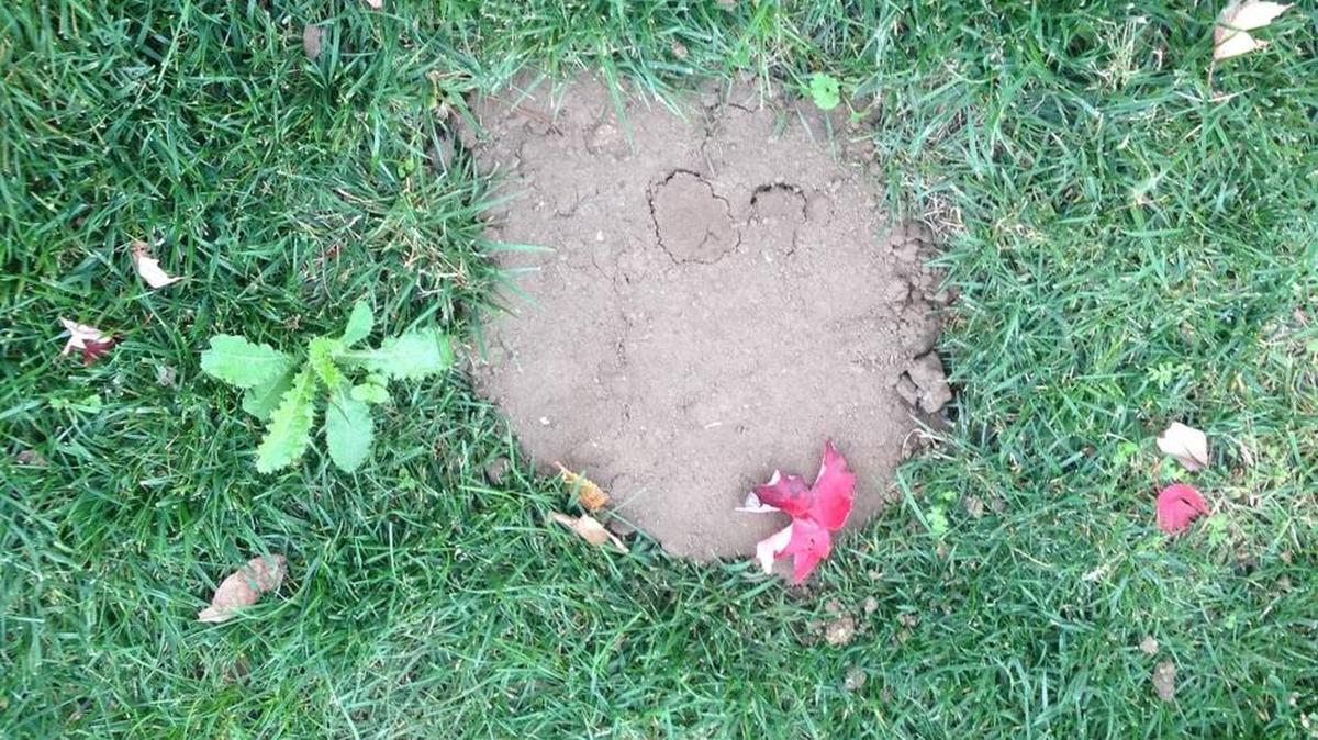 And the dangerous hole was quickly repaired.