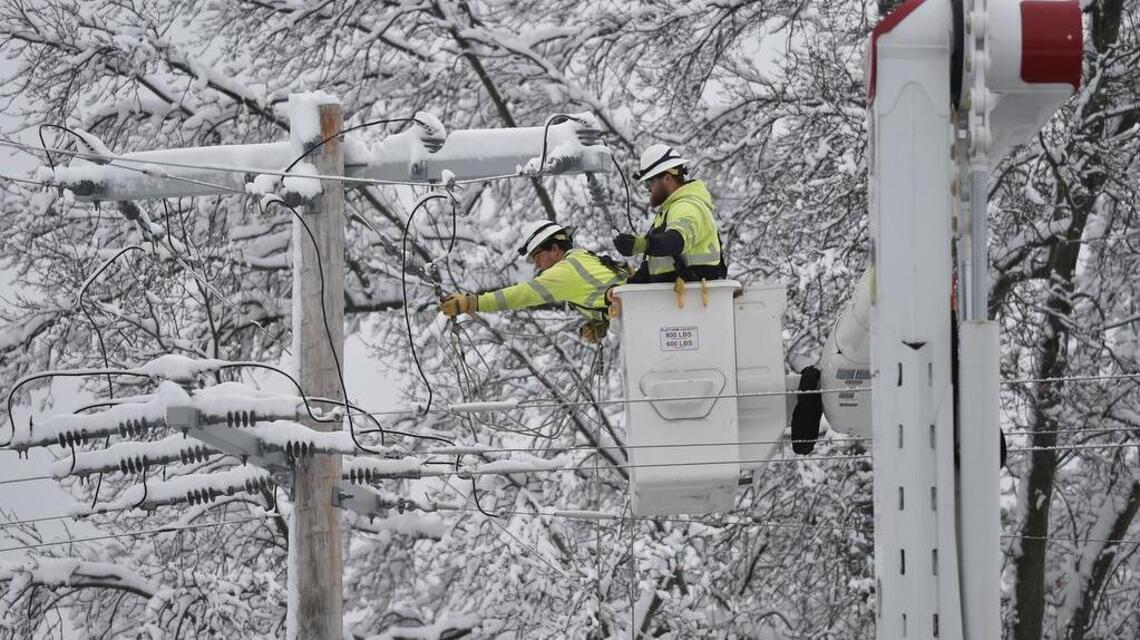 Do your snow-damaged trees need pruning? Here’s how to be safe and do it right
