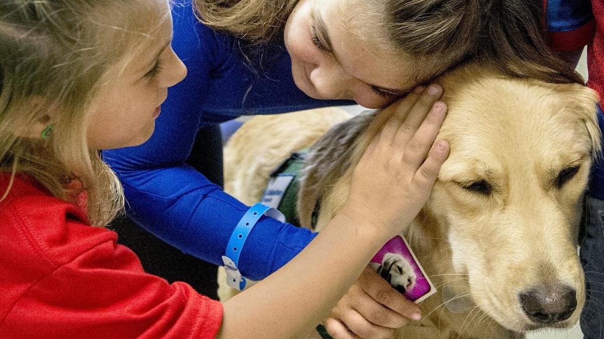 Everyone can use a hug every day.