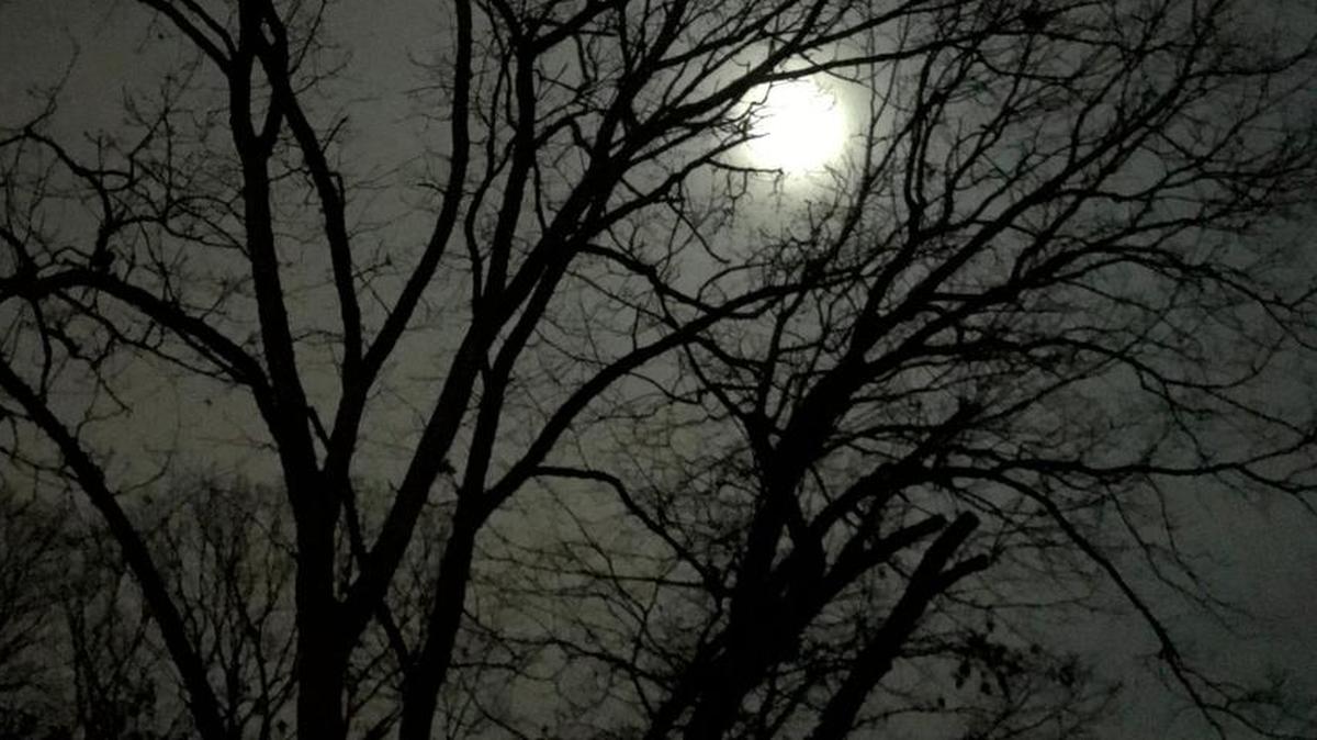 The moon makes an appearance the night before a brutal East Coast storm.
