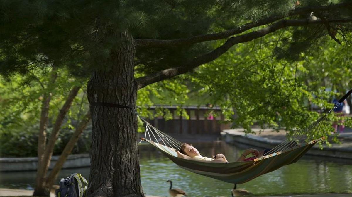 What is peace? To some, it’s relaxing in a hammock.