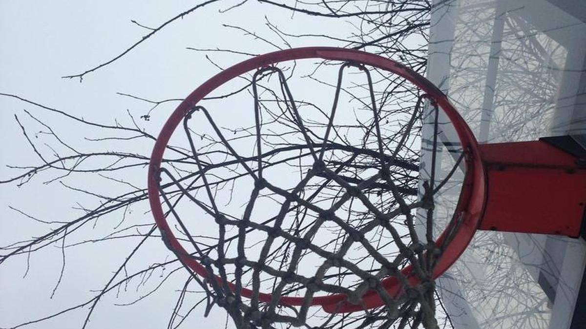 Like a tall soldier waiting beside the driveway, our basketball goal stands sentinel.