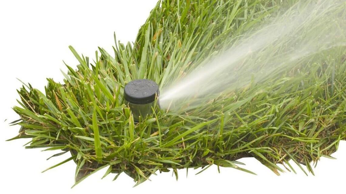 How to grow a healthier lawn with less water