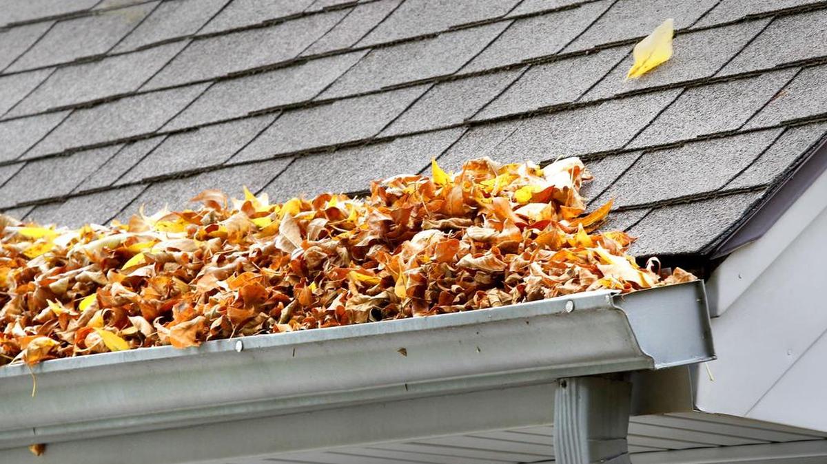 Don’t let these tempt you to grab a ladder. Ask yourself one question: Can you fly?