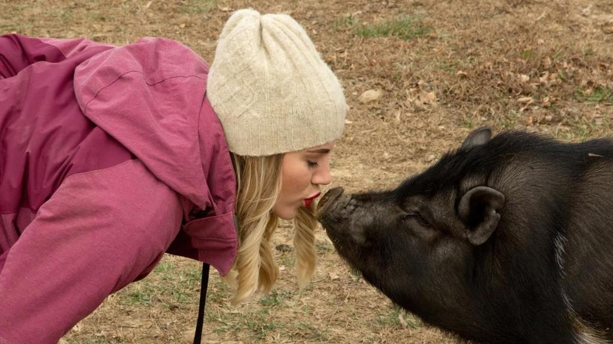Kayli Houk, the co-founder and president of the Kansas City Pig Rescue Network, was greeted with a kiss at Teresa Kearney’s pig foster home in Cleveland, Mo.