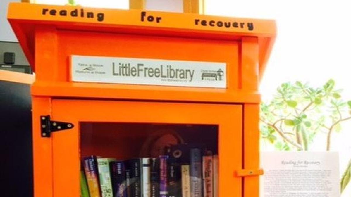 
Working toward a Gold Award as part of Girl Scouting, Teresa Shockley of Leawood is using the idea of Little Free Libraries to help raise awareness of mental illness. Each of the books is something that gave her hope in her own battle with depression and self-harm.
