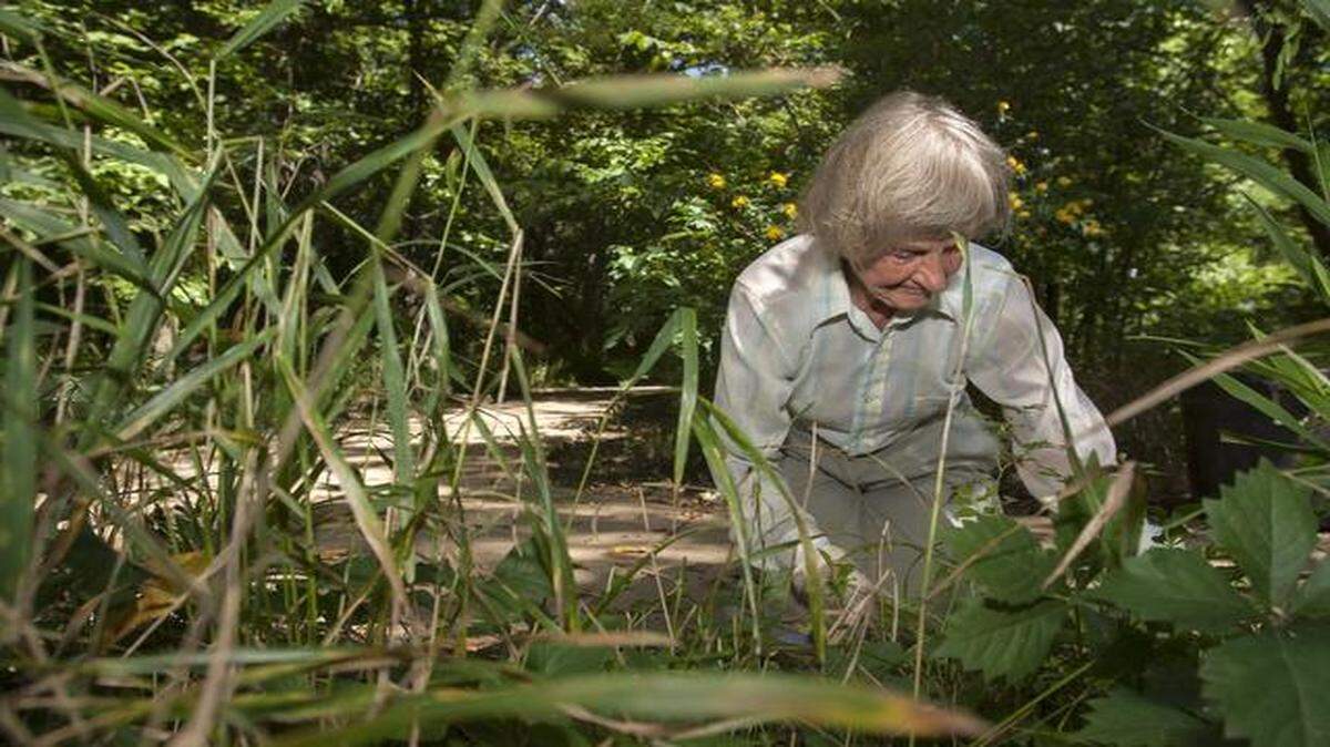 
Phyllis Grootemaat of Overland Park is one of the many volunteers that help keep the Overland Park Arboretum looking its best. Grootemaat was working in the Marder Woodland Garden on July 15.
