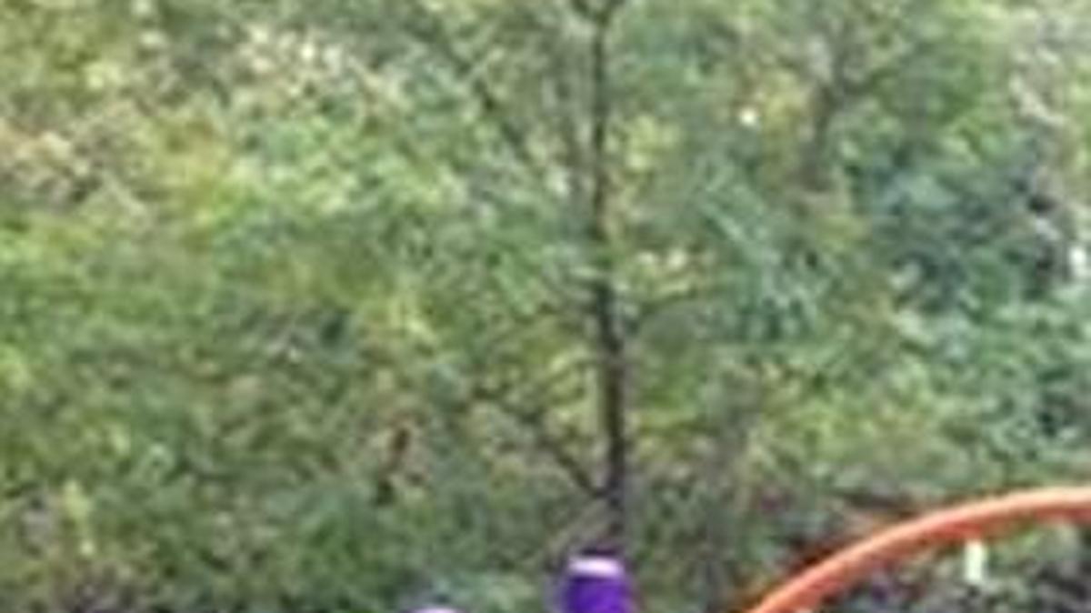 The city of Merriam has installed new playground equipment at Quail Creek Park.