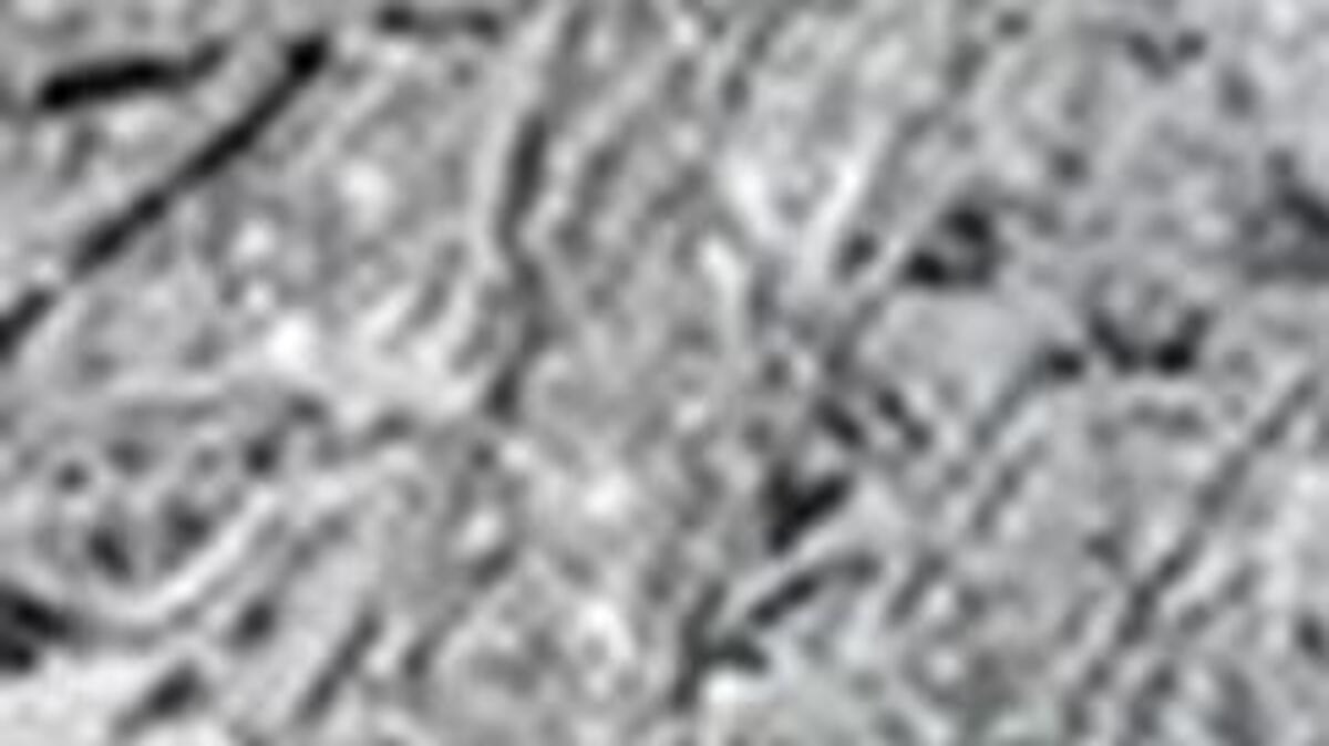Limb collection has been completed west of Interstate 35 in Olathe, and residents there will have to pay for any additional pickups.