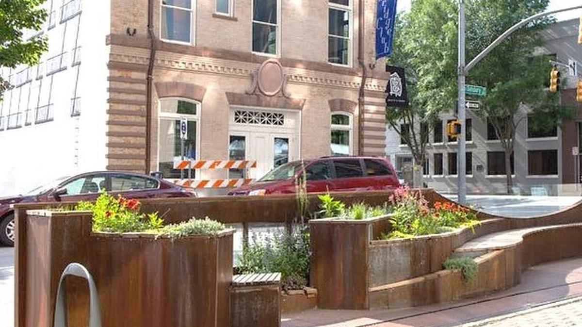 The free-flow form is an example, taken from the Gardner survey, of how parklets can be configured.