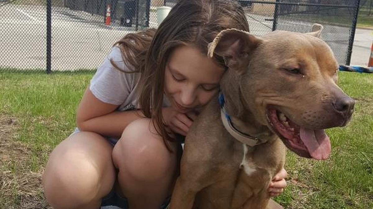 Haley Irwin shares a special moment with Marissa, one of the many Olathe Animal Shelter dogs available for adoption and hoping to find their forever homes.