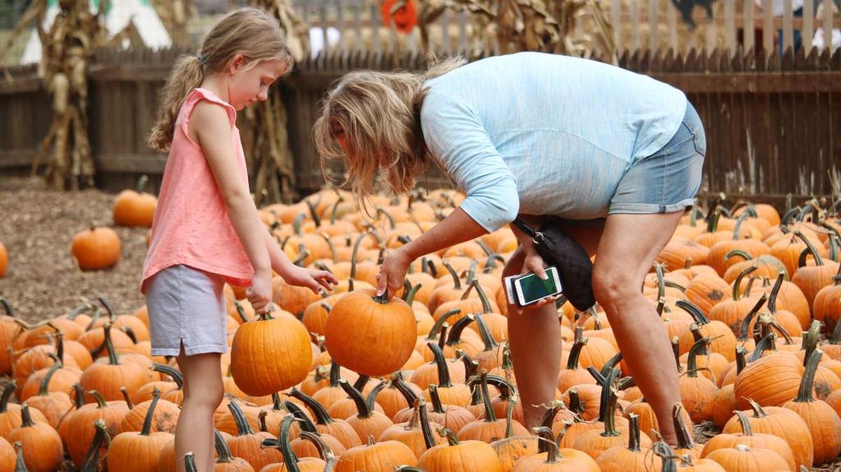 Overland Park resident Vera Carrieres, 7, picks out a pumpkin with her grandma, Carlena Bulkey, at the Deanna Rose Farmstead pumpkin hollow.