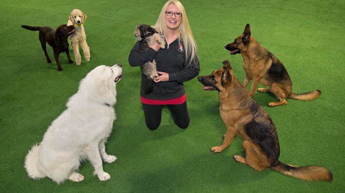 
Carrie Turpin is an owner of Pet Ranch, a boarding and day care facility for dogs and cats at 12700 W. 151st St., Olathe. The facility is located on 15 acres in a former horse stable.

