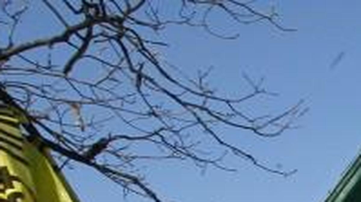 Overland Park is starting a rental inspection program to prevent neighborhood deterioration.