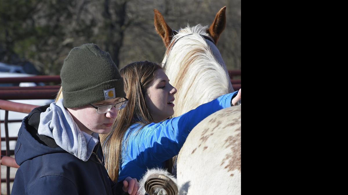 
The veterinary medicine class, which includes Cameron Tomka (left) and Paige Cote, has worked closely this semester with Bayer Animal Health.
