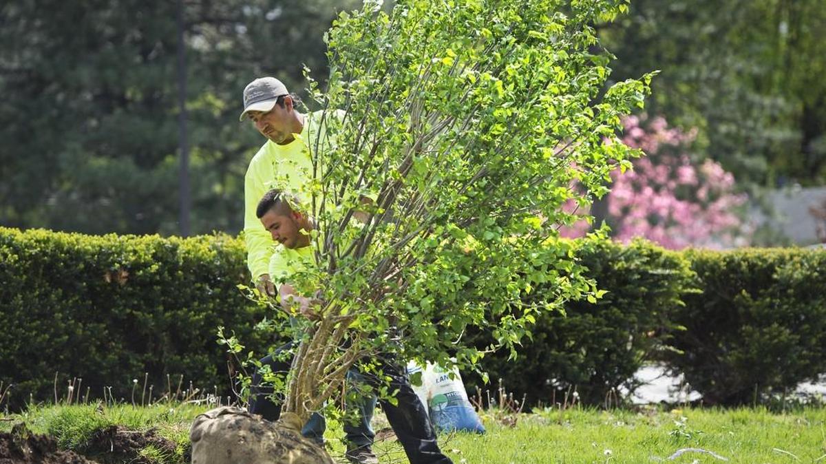 An Arbor Day and Earth Day event in 2015 at R Park, 5535 Juniper St., in Roeland Park.