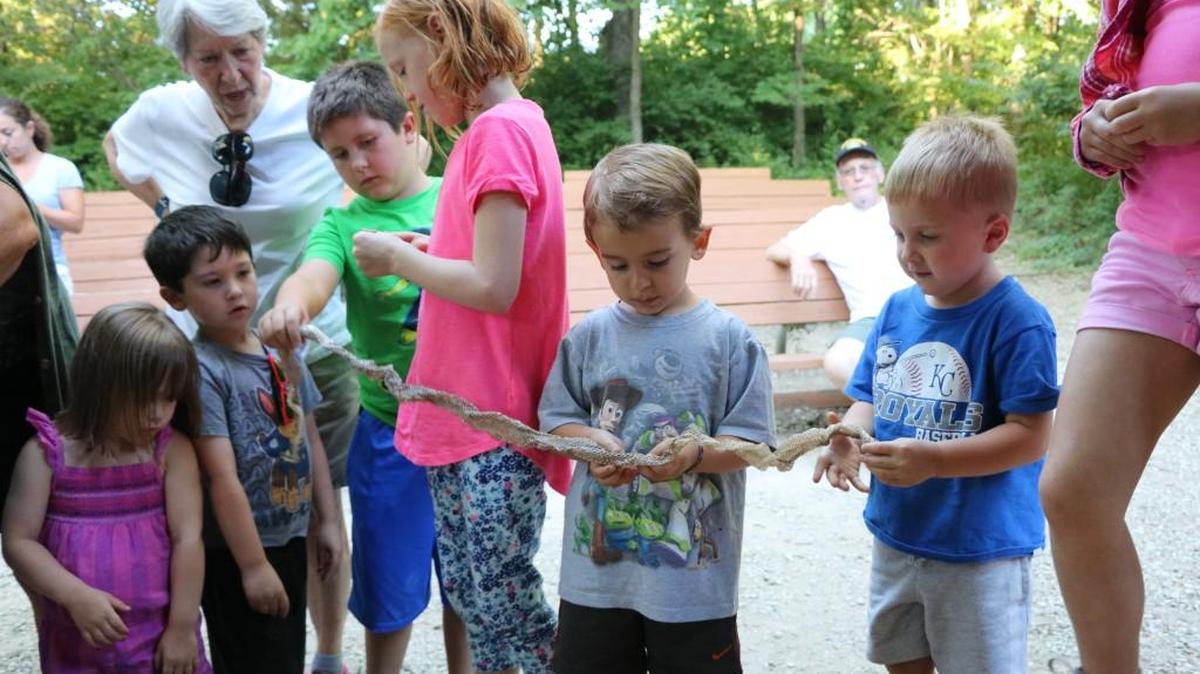 A group of curious audience members explore, hands-on, the texture and patterns of a snake skin during the Snakes Alive program held June 23 at the Ernie Miller Nature Center in Olathe.