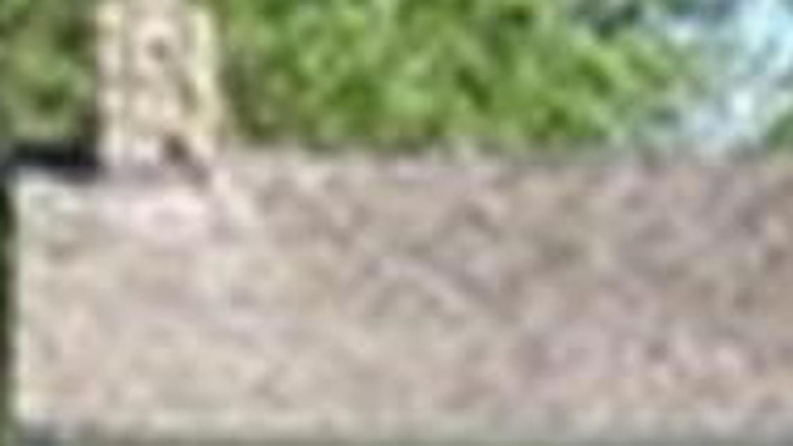 The Mahaffie Stagecoach Stop & Farm will observe Grandparents Day on Sunday with free admission for grandparents with paid child admission.