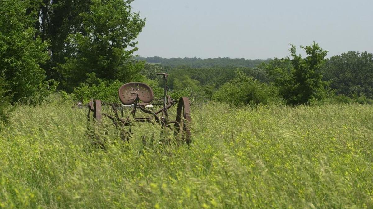 
Master planning on Big Bull Creek Park is slated to get started this fall. 
