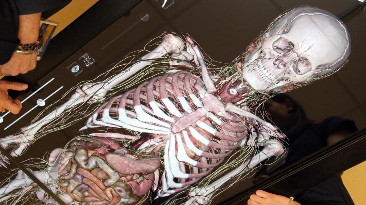 Shawnee Mission School District wants to raise money to buy one or more $70,000 state-of-the-art virtual dissection tables for high school anatomy classes. Superintendent Jim Hinson characterized the touchscreen tables, which a video presentation showed let students view and manipulate the layers of anatomy on computerized human and animal cadavers, as an example of the resources the district’s students need to be successful. Here, students at the Nicole Wertheim College of Nursing and Health Sciences at Florida International University use a dissection table.