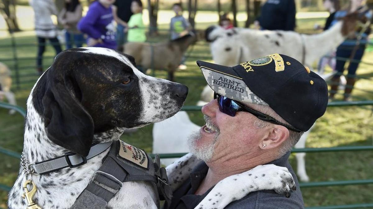 A Liberty group called Warriors’ Best Friend focuses on training service dogs for soldiers with PTSD and traumatic brain injury. The group recently opened a training facility for the dogs near Liberty North High School. Terry Ralston of Topeka and Ivan, his service dog, paired up in February. Ralston is retired from the Army.