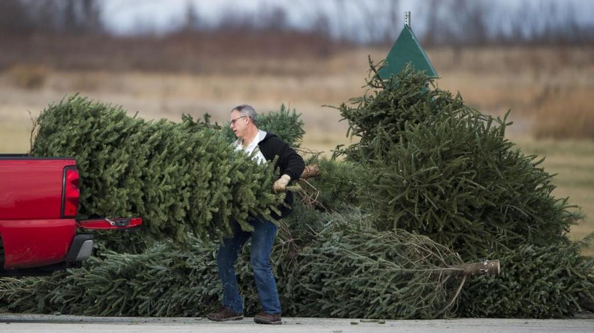 There are several places to recycle that Christmas tree around Johnson County. Olathe residents can simply drag it to the curb.