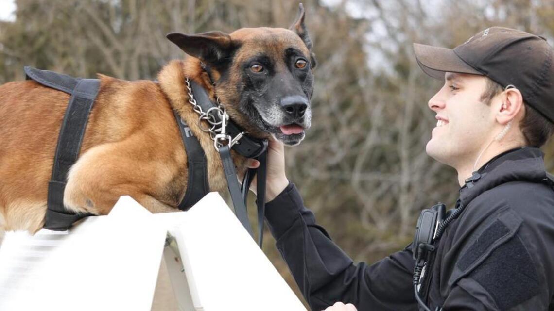 K-9 officers aren’t pets, but the familial bond with their police handlers runs deep