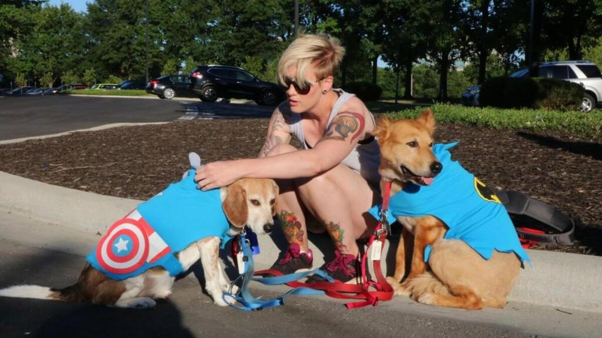 Before the start of Sunday’s CASA SuperHero 5K Heather Physioc, of Overland Park, puts the finishing touches on her dogs’ superhero costumes. Otto, 10 (right) makes his appearance as Batman, while Ford, 12, ran as Captain America. Physioc noted that the SuperHero race has been on Fred’s bucket list.