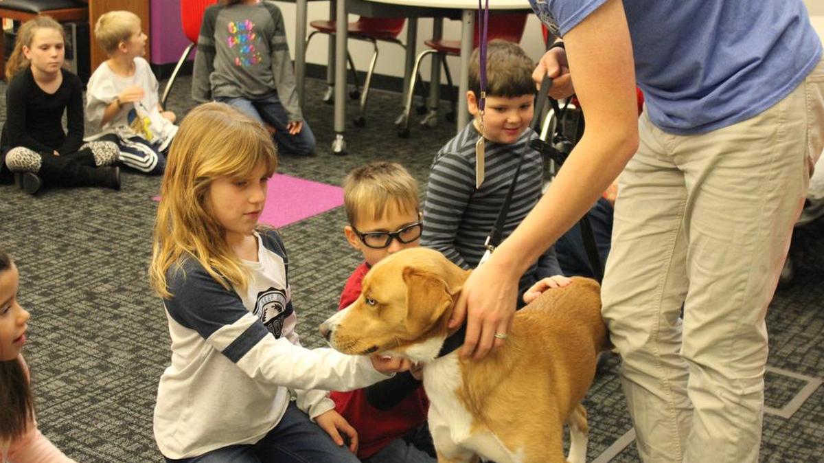 As part of the school’s Pawsitively Spreading Kindness program, Lee’s Summit Elementary third-grade students learned about how dogs can use body language to communicate their feelings. They also learned safe ways to approach dogs in the community.