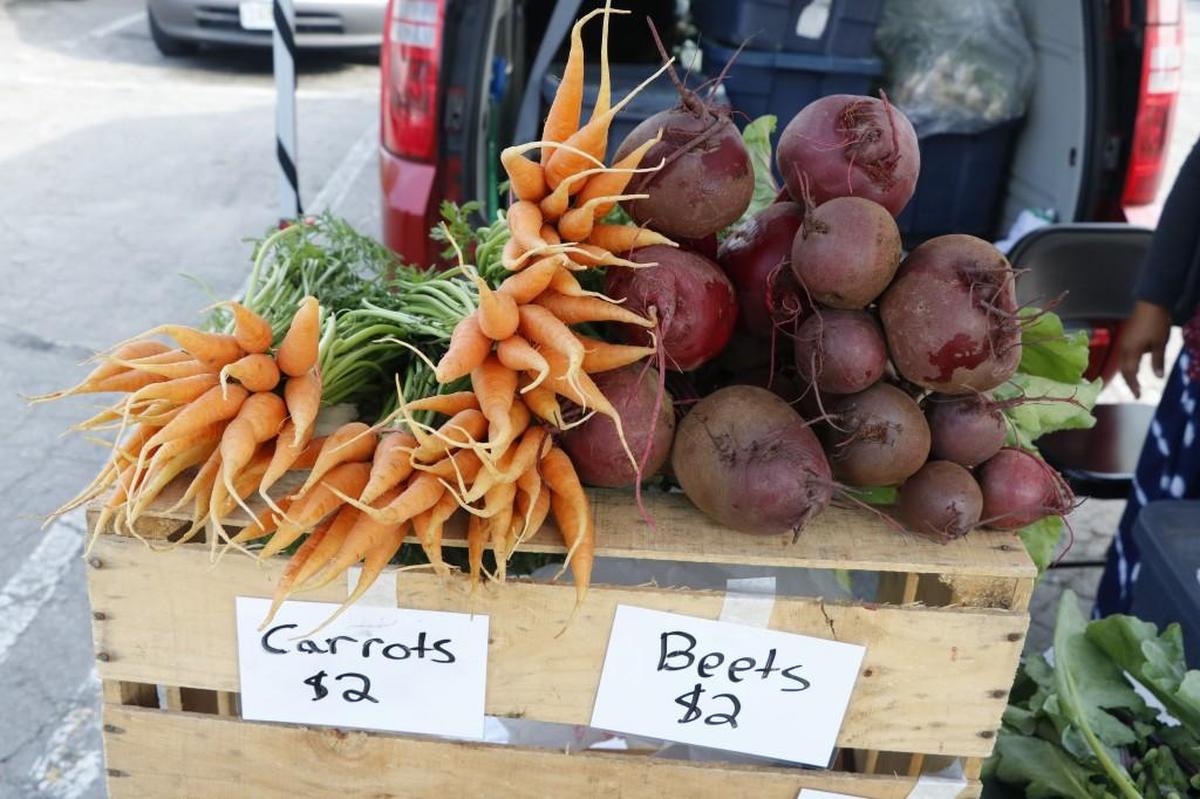 Beets and carrots are just a few of the organic, non-GMO vegetables Thai native Lee Meh grows as part of the farmer training program through Catholic Charities’ New Roots for Refugees.