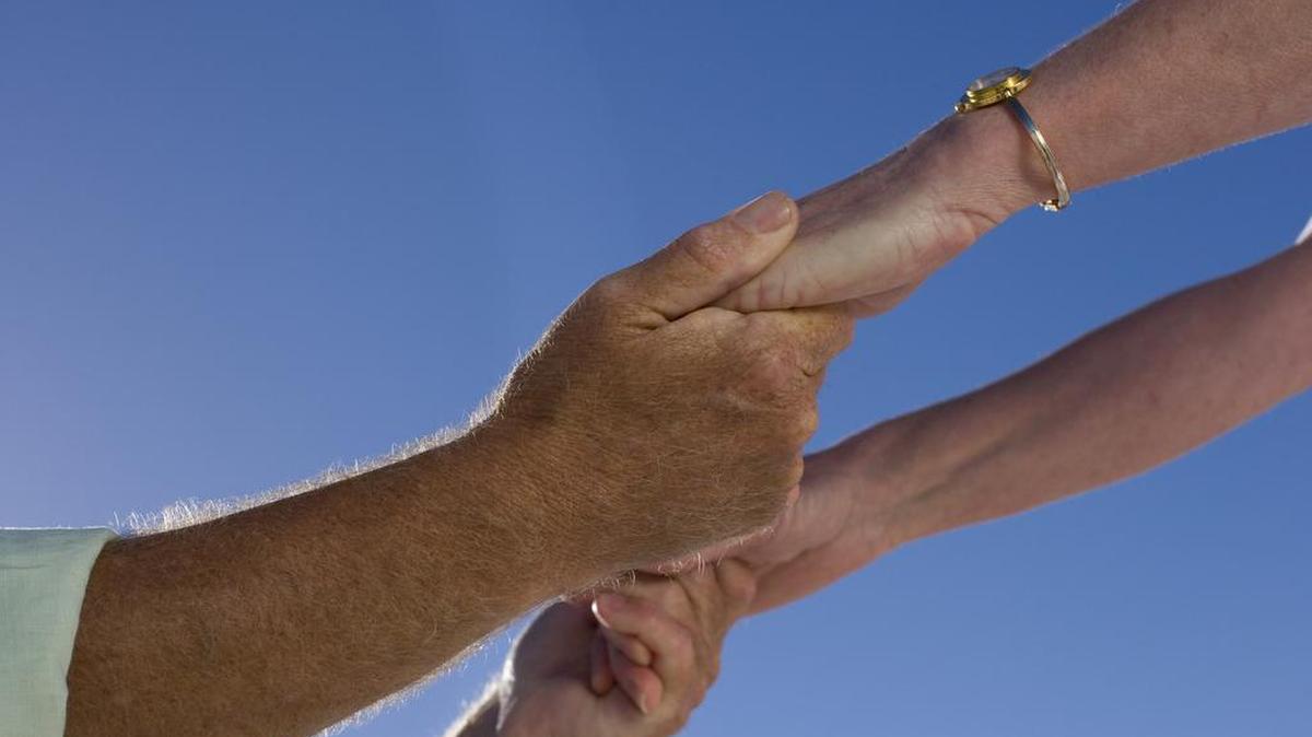 A common language unites us