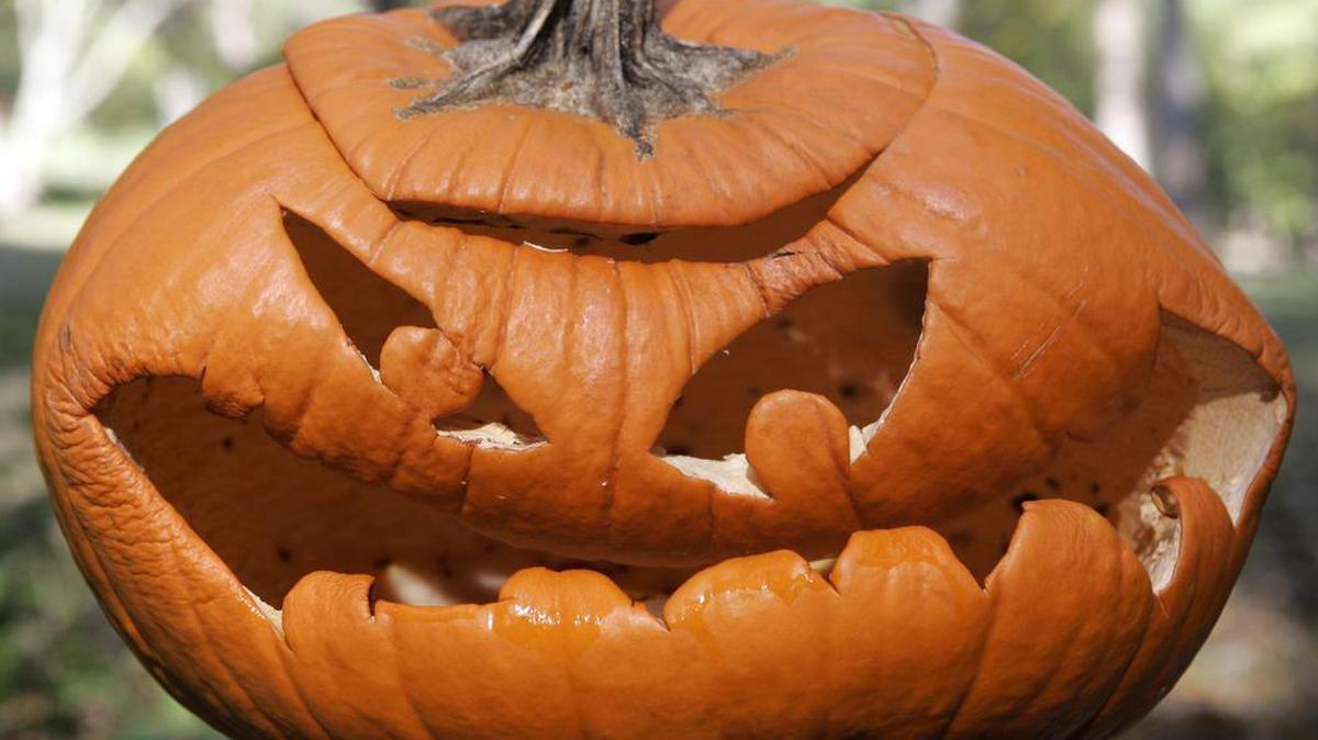 Have a Halloween jack-o'-lantern past its prime? Resist the urge to send it to the landfill.