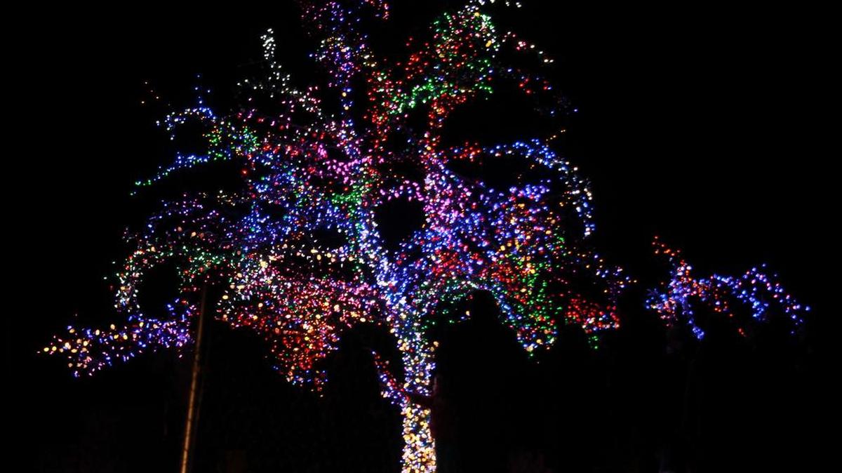 The Lee’s Summit Magic Tree started out four years ago as an fun, anonymous project to share with the community, according to its owner, Phillip “Flip” Short. Short led a brief lighting ceremony at tree for the public on Nov. 22, 2017. The tree is on the northeast corner of Interstate 470 and View High Drive. The lights will remain on the tree now through Jan. 6, 2018.